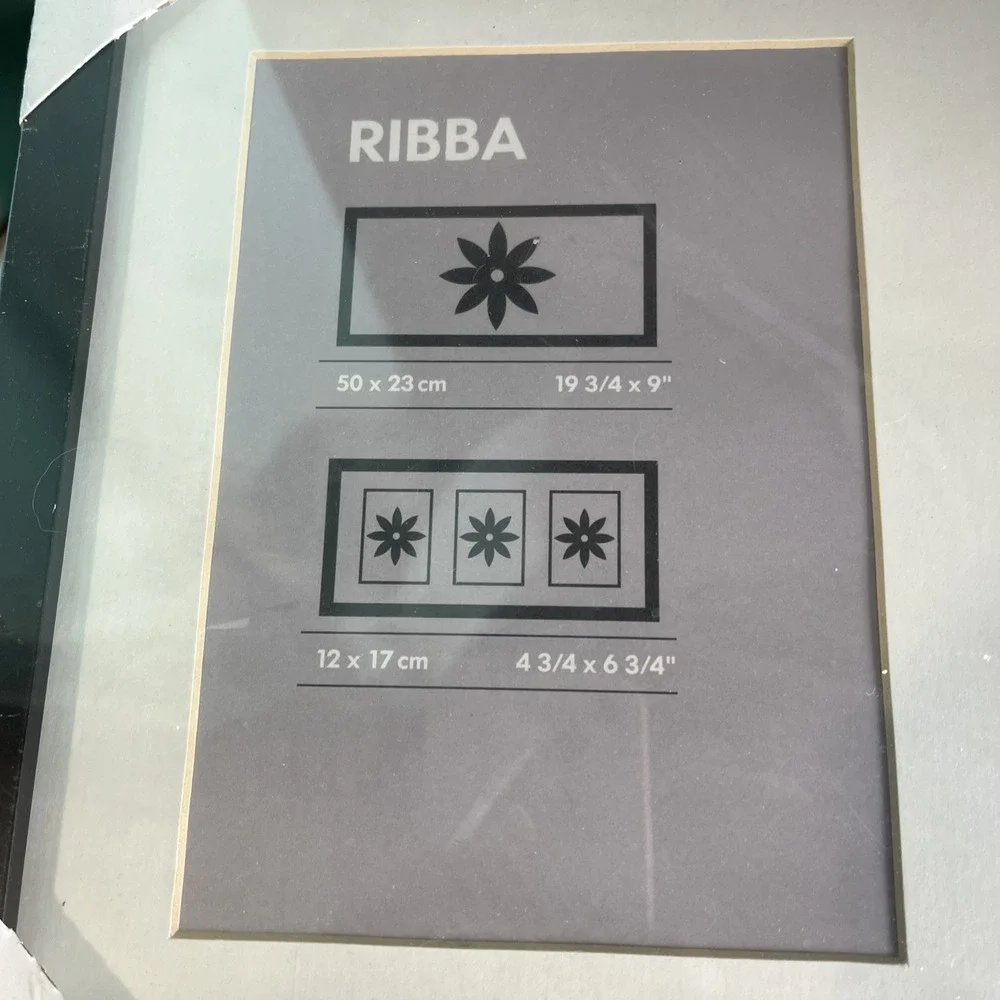 IKEA ribba picture